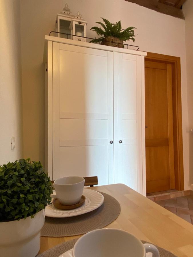 Bed And Breakfast La Bouganville Rosignano Marittimo Zewnętrze zdjęcie