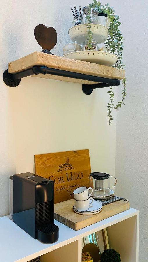 Bed And Breakfast La Bouganville Rosignano Marittimo Zewnętrze zdjęcie