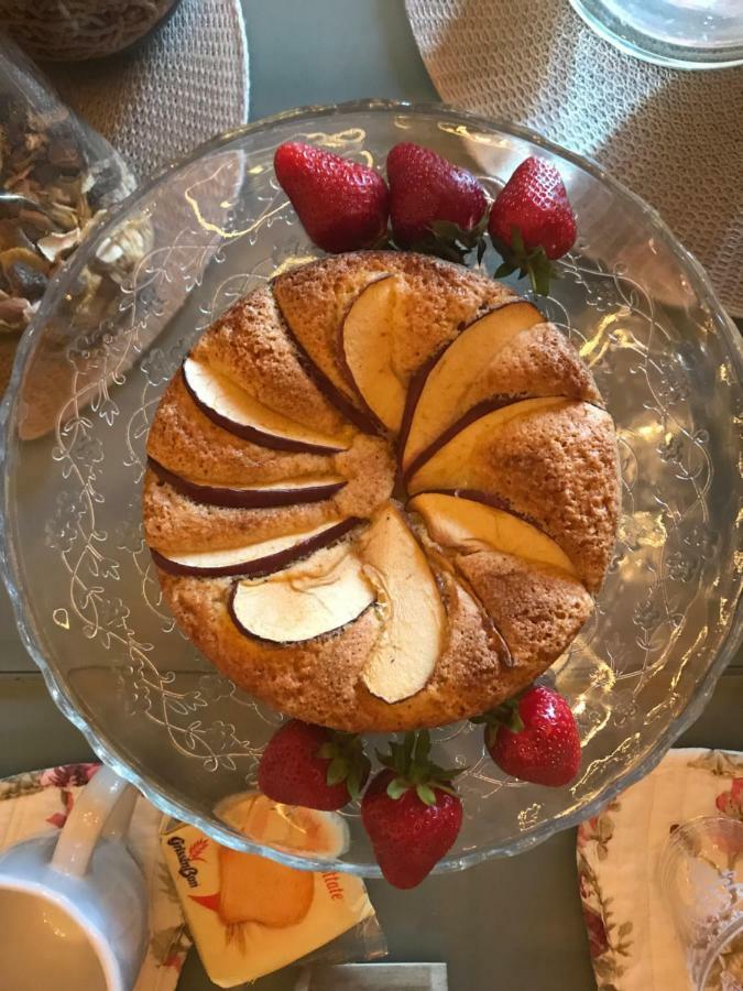 Bed And Breakfast La Bouganville Rosignano Marittimo Zewnętrze zdjęcie